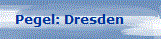 Pegel: Dresden
