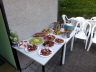 Bild 38